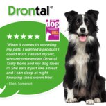 Dronta XL Dog Worming Tablet. Cheap Prices VetShop